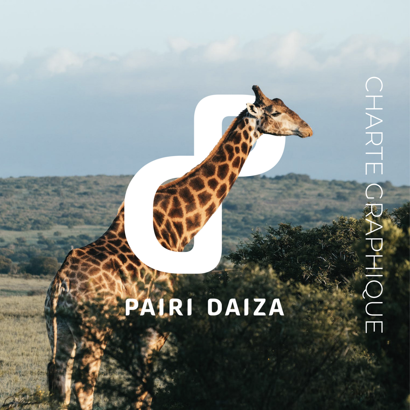 Projet Mise en page 1